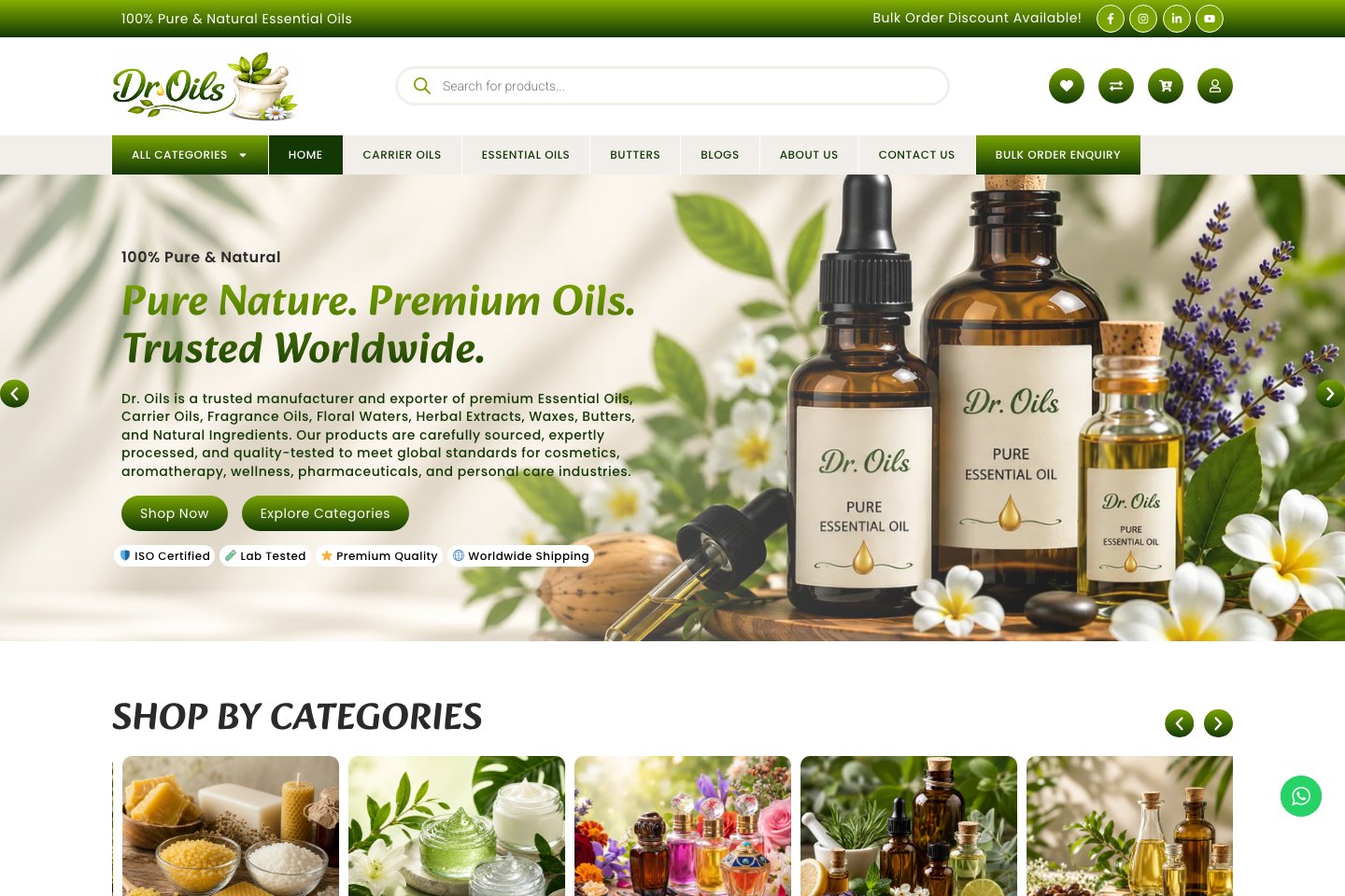 Droils — Business website website, live